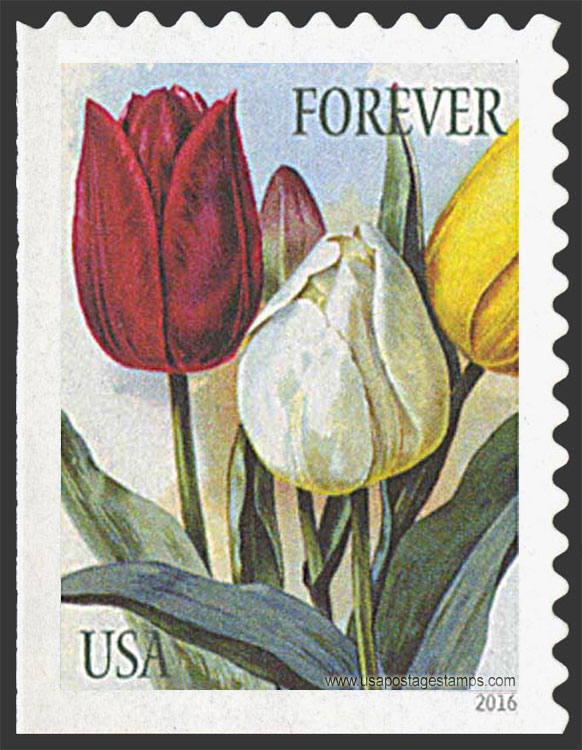 US 2016 Tulips Flowers : Botanical Art 49c. Scott. 5044