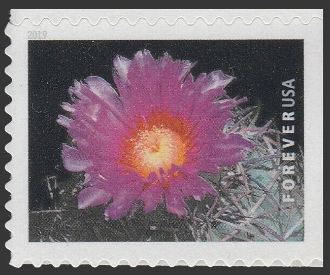 US 2019 Devilshead Cactus Flowers 55c. Scott. 5357
