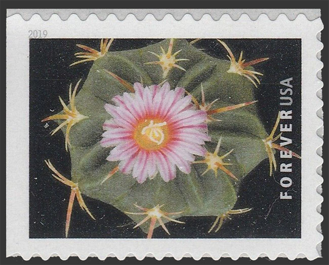 US 2019 Thelocactus heterochromus Cactus Flowers 55c. Scott. 5358