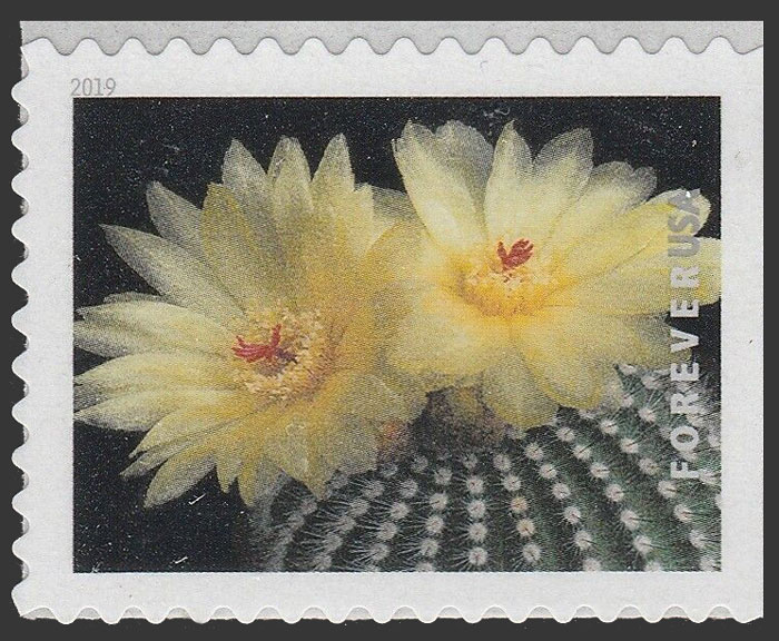 US 2019 Parodia scopa Cactus Flowers 55c. Scott. 5359