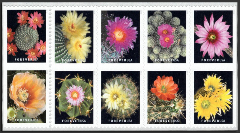 US 2019 Cactus Flowers ; Se-tenant 55c.x10 Scott. 5359a