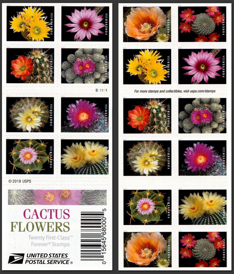 US 2019 Cactus Flowers ; Booklet Pane 55c.x20 Scott. 5359b