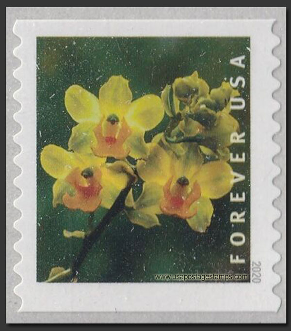 US 2020 Yellow Cow Horn Orchid ; Coil 55c. Scott. 5435