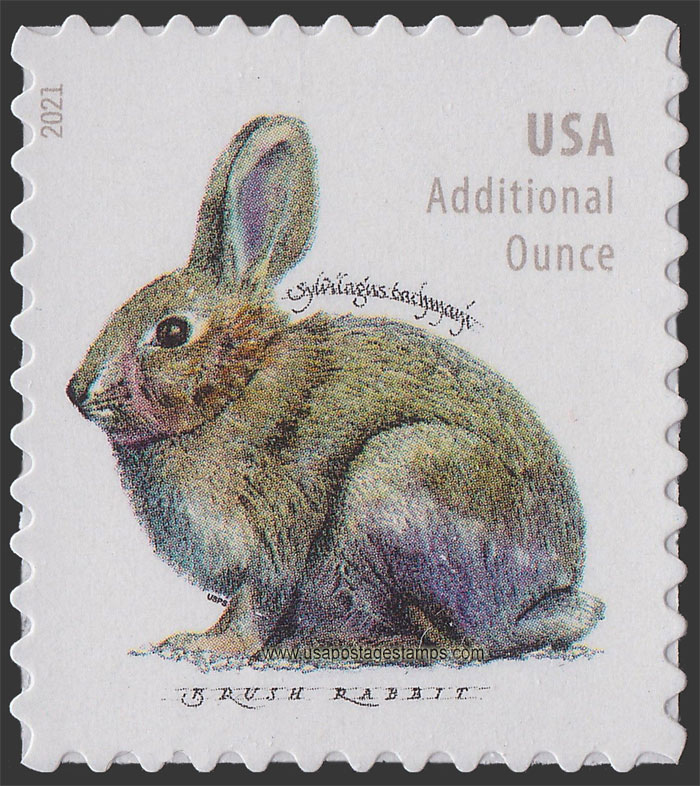 US 2021 Brush Rabbit 20c. Scott. 5544