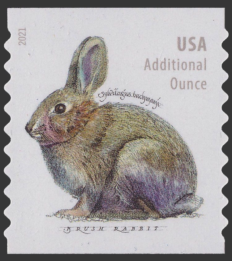 US 2021 Brush Rabbit ; Coil 20c. Scott. 5545