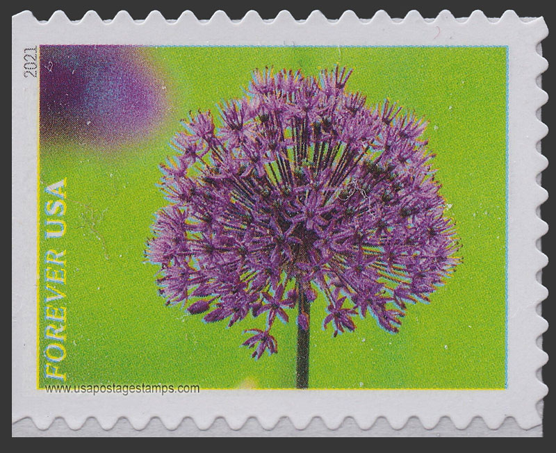 US 2021 Onion : Garden Flowers 55c. Scott. 5560
