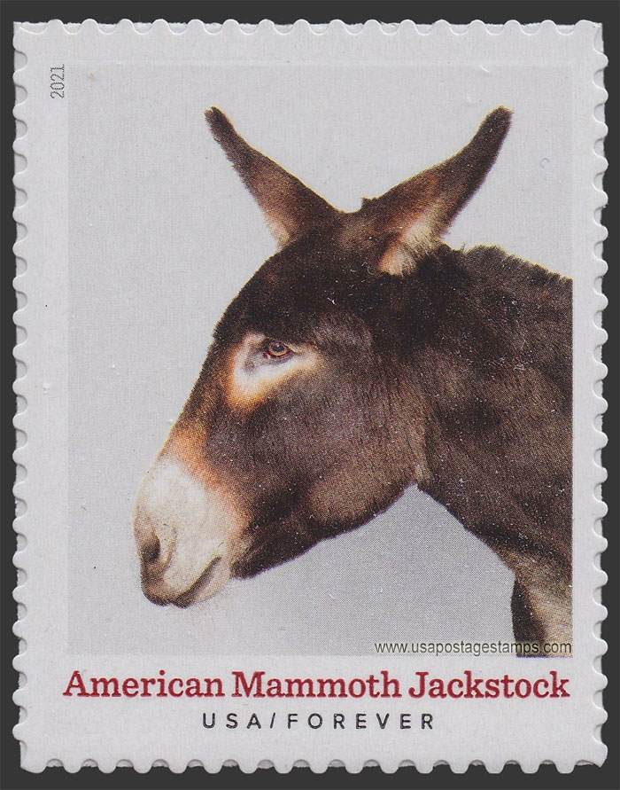 US 2021 American Mammoth Jackstock : Heritage Breeds 55c. Scott. 5587