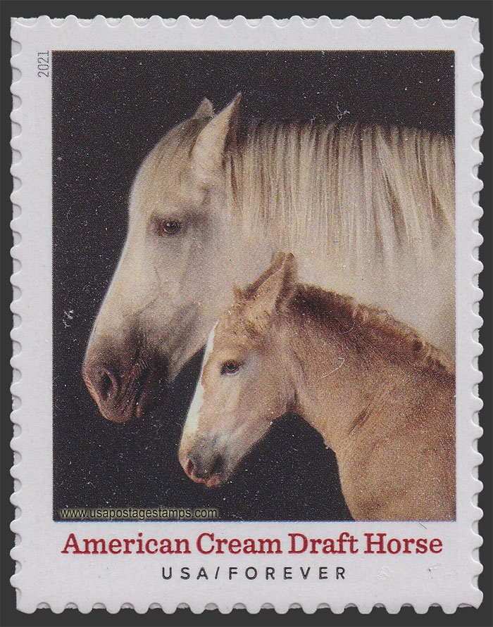 US 2021 American Cream Draft Horse : Heritage Breeds 55c. Scott. 5590