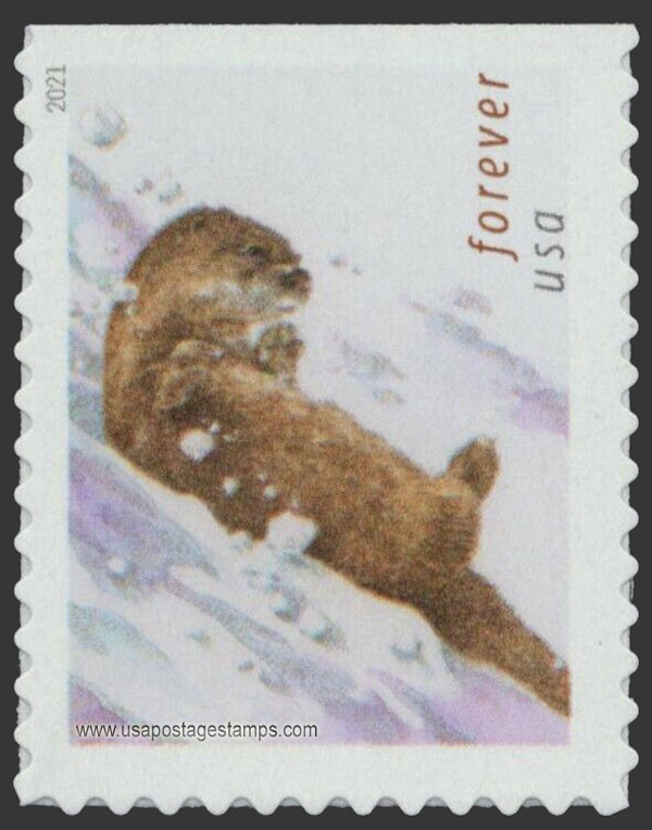 US 2021 Otter, Tail at Right 58c. Scott. 5649