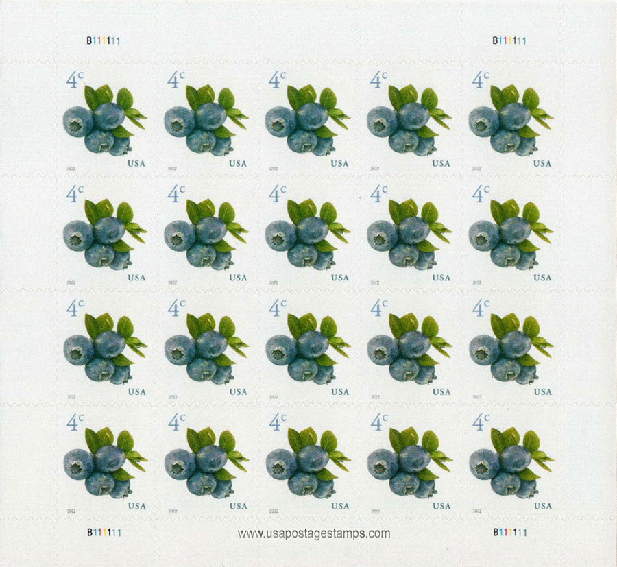 US 2022 Blueberry Fruits ; Full Sheet 4c.x20 Scott. 5652MS