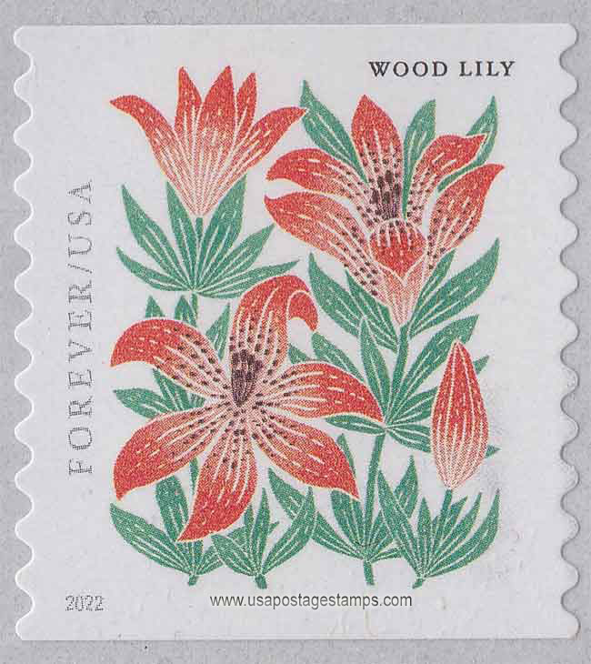 US 2022 Wood Lily ; Mountain Flora Coil 58c. Scott. 5672