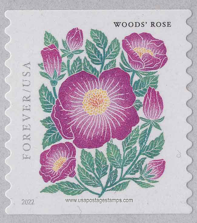 US 2022 Woods Rose ; Mountain Flora Coil 58c. Scott. 5674
