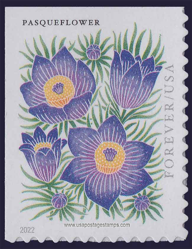US 2022 Pasqueflower ; Mountain Flora 58c. Scott. 5676