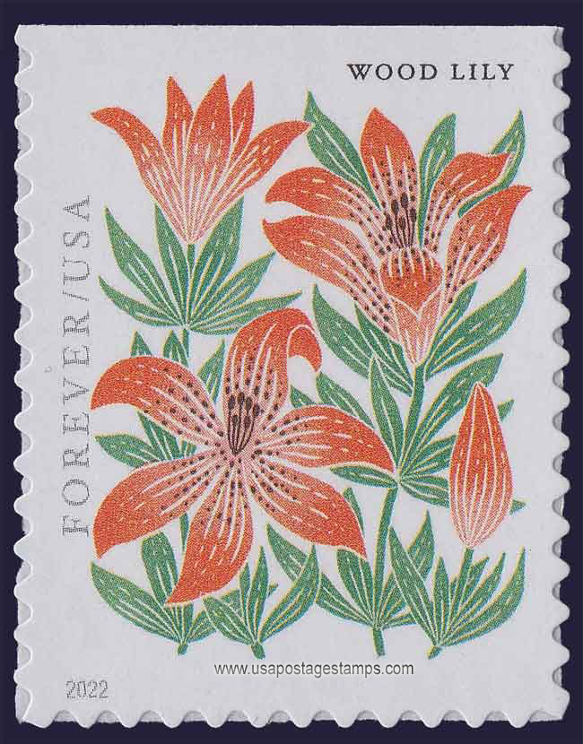 US 2022 Wood Lily ; Mountain Flora 58c. Scott. 5677