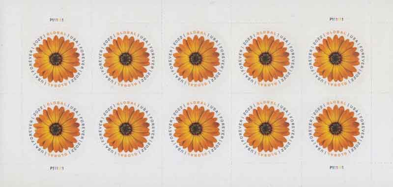 US 2022 African Daisy Flowers Mini Sheet $1.30 x10