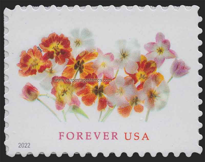 US 2022 Tulip Flowers 58c. Scott. 5681