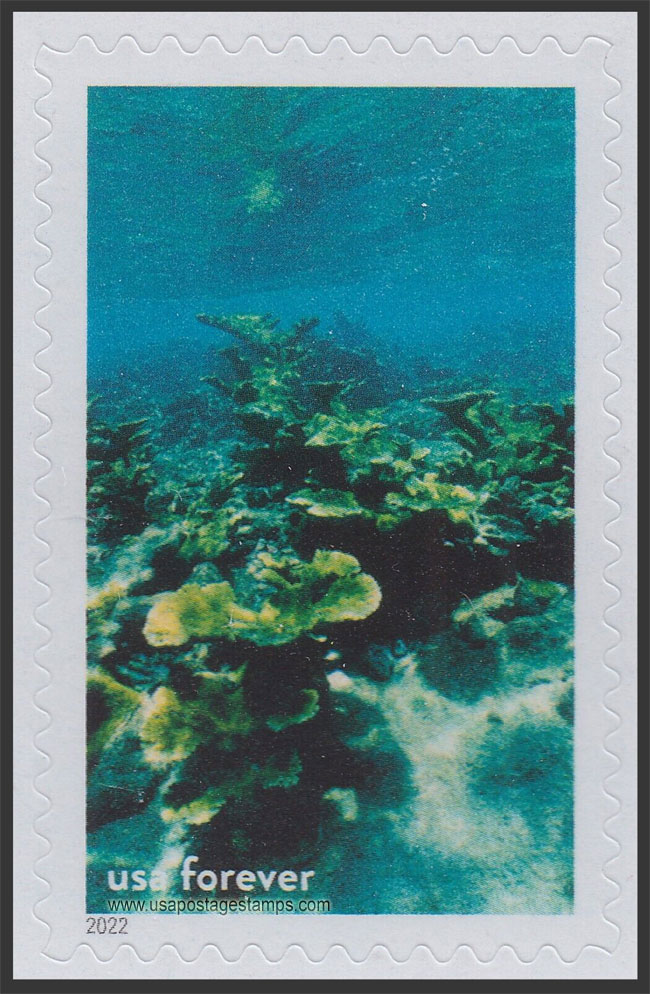 US 2022 Elkhorn Coral, Florida Keys National Marine Sanctuary 60c. Scott. 5713g