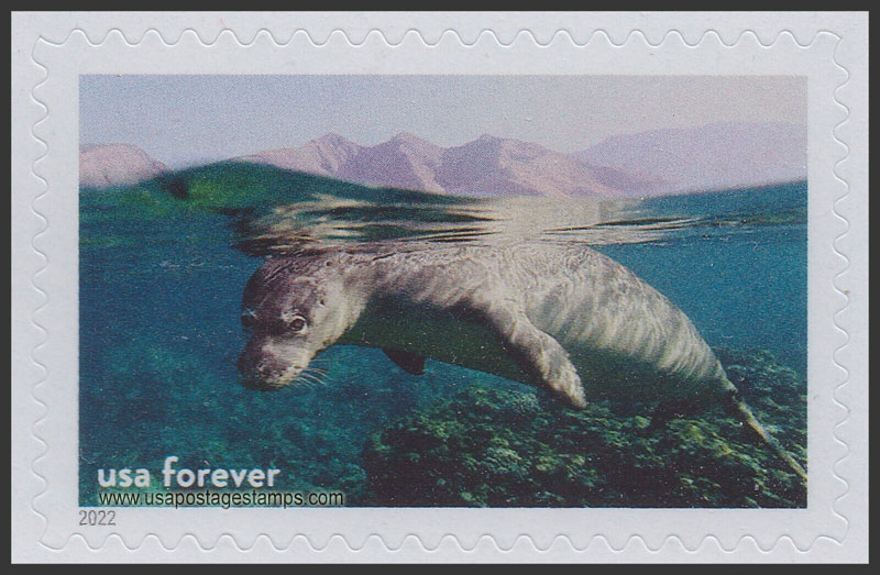 US 2022 Hawaiian Monk Seal, Hawaiian Is. Humpback Whale Marine Sanctuary 60c. Scott. 5713h