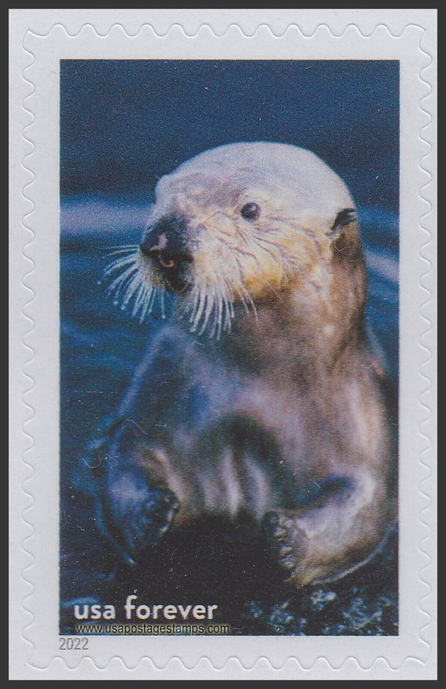 US 2022 Sea Otter, Monterey Bay Souvenir Sheet Nat Marine Sanctuary 60c. Scott. 5713j