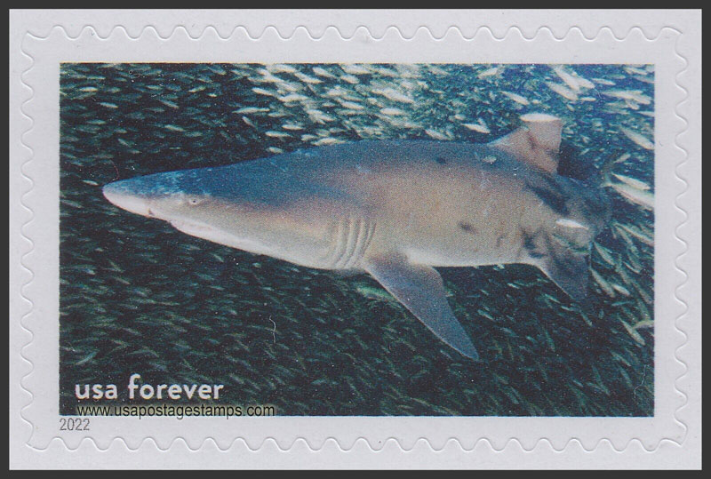 US 2022 Sand Tiger Shark, Monitor National Marine Sanctuary 60c. Scott. 5713n