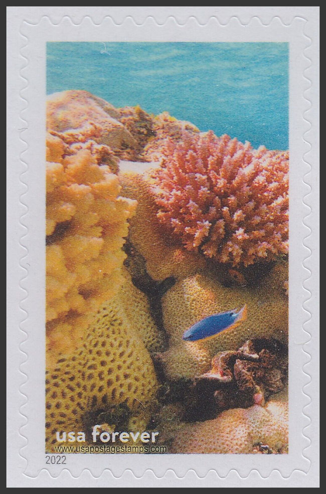 US 2022 Corals and Fish, Rose Atoll Nat Marine Sanctuary of American Samoa 60c. Scott. 5713o
