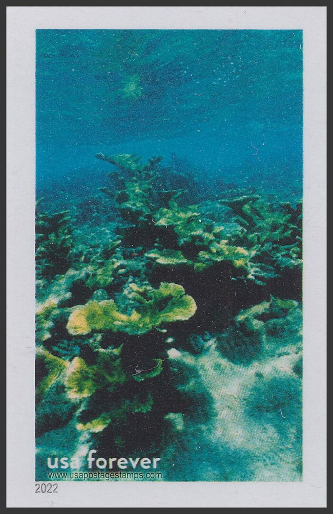 US 2022 Elkhorn Coral, Florida Keys National Marine Sanctuary, Imperf. 60c. Scott. 5713qg