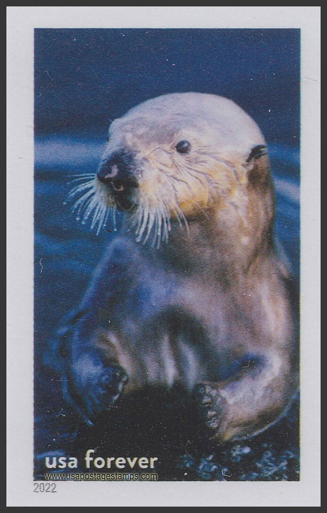US 2022 Sea Otter, Monterey Bay Souvenir Sheet Nat Marine Sanctuary 60c. Scott. 5713qj