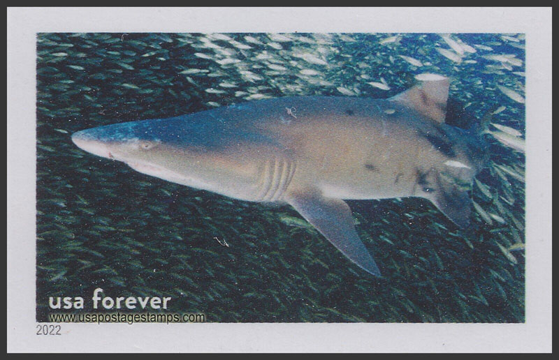 US 2022 Sand Tiger Shark, Monitor National Marine Sanctuary 60c. Scott. 5713qn