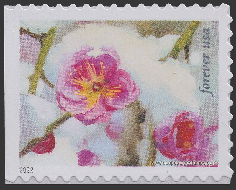 US 2022 Plum blossom : Snowy Beauty 60c. Scott. 5733