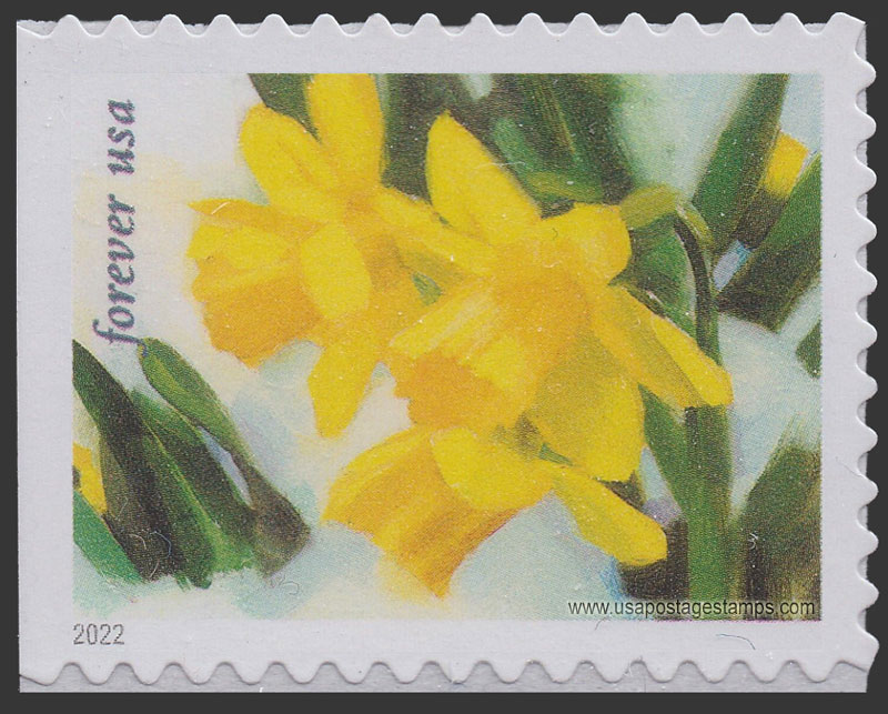 US 2022 Daffodil : Snowy Beauty 60c. Scott. 5735