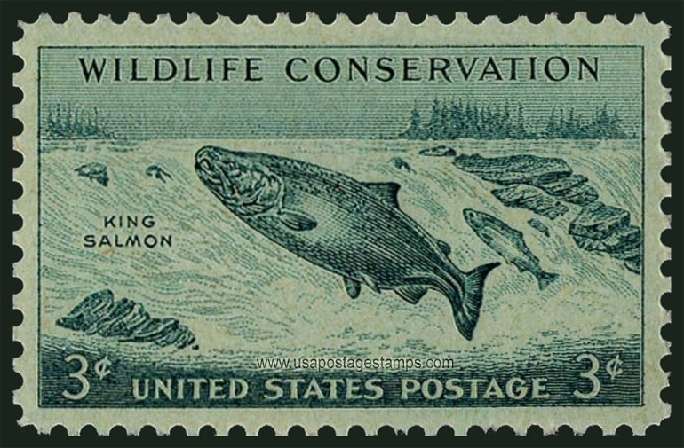 US 1956 King Salmon Fishes ; Wildlife Conservation 3c. Scott. 1079