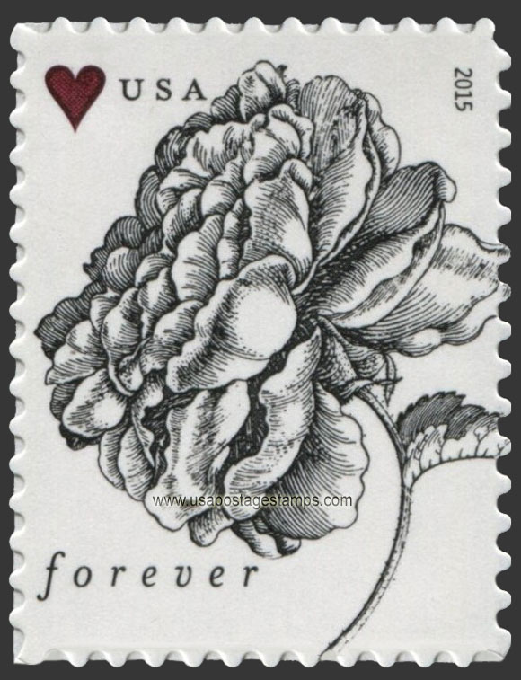 US 2015 Vintage Rose Flower 49c. Scott. 4959