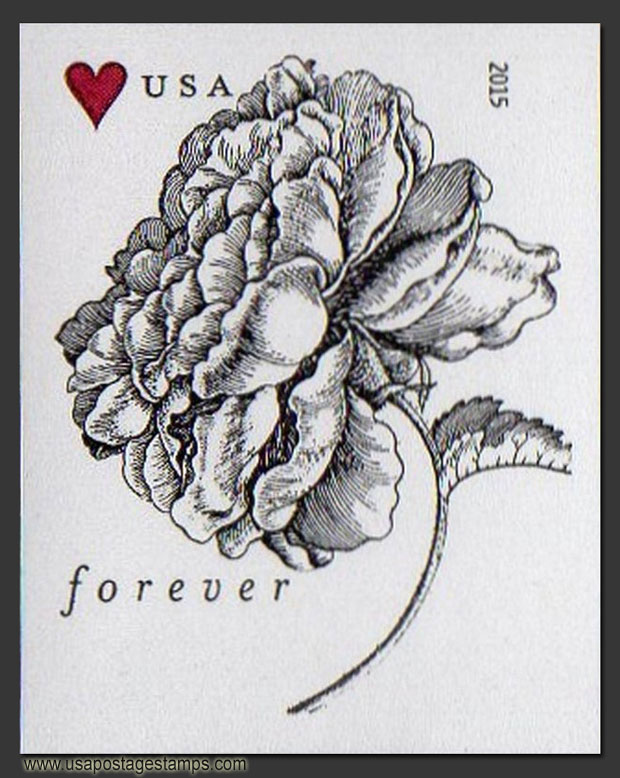 US 2015 Vintage Rose Flower ; Imperf. 49c. Scott. 4959a