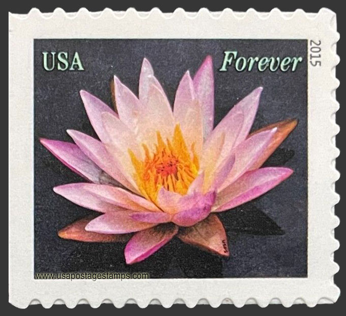 US 2015 Water Lily Flower (light pink) 49c. Scott. 4964