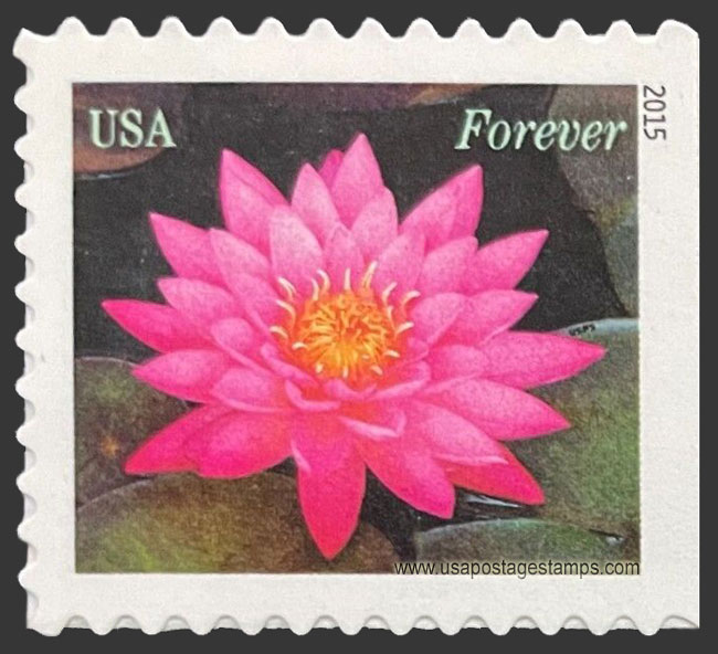 US 2015 Water Lily Flower (light pink) 49c. Scott. 4965