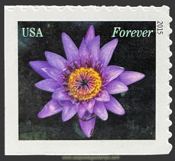 US 2015 Water Lily Flower (purple) 49c. Scott. 4966