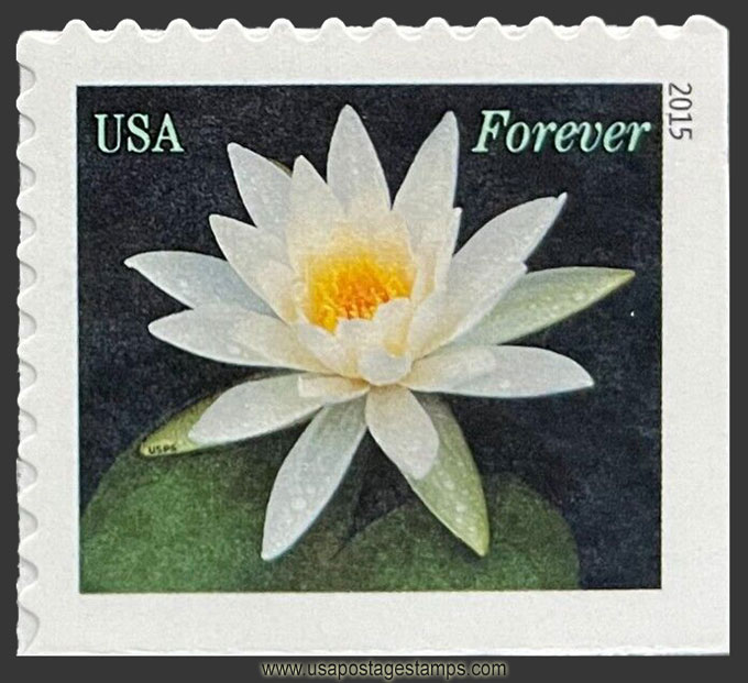 US 2015 Water Lily Flower (white) 49c. Scott. 4967