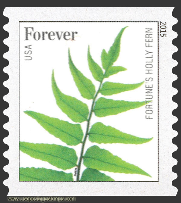 US 2015 Fortunes Holly Fern ; Coil 49c. Scott. 4977a