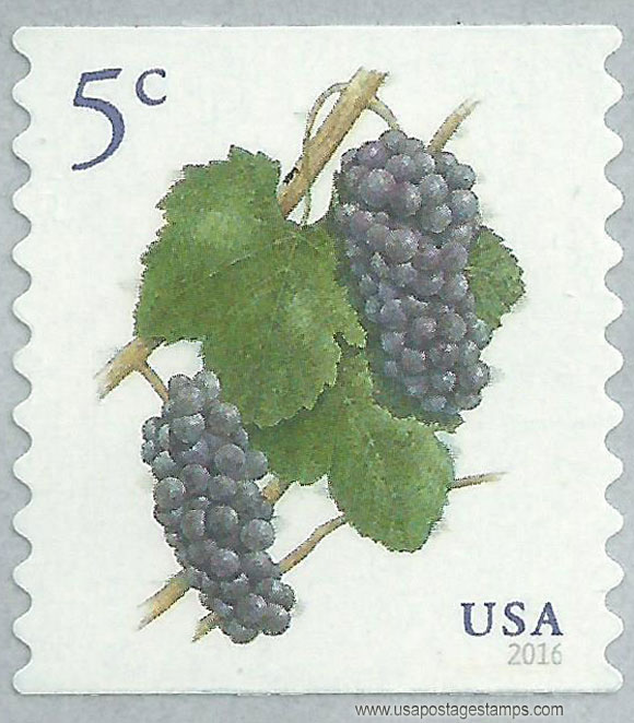US 2016 Grapes Fruits ; Coil 5c. Scott. 5038