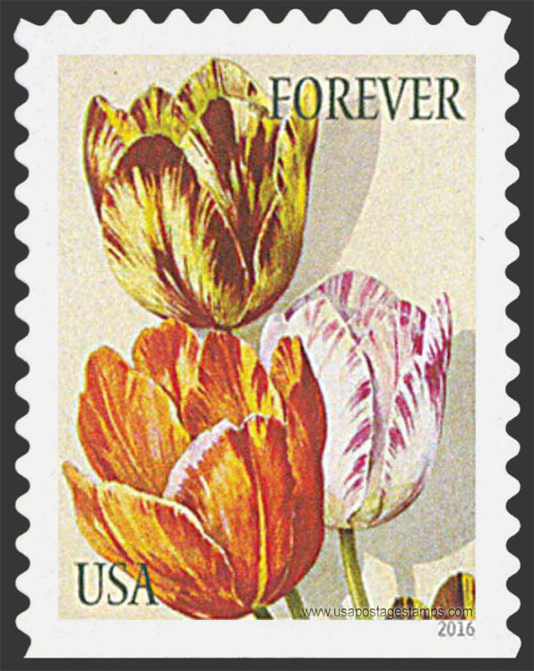 US 2016 Tulips Flowers : Botanical Art 49c. Scott. 5049