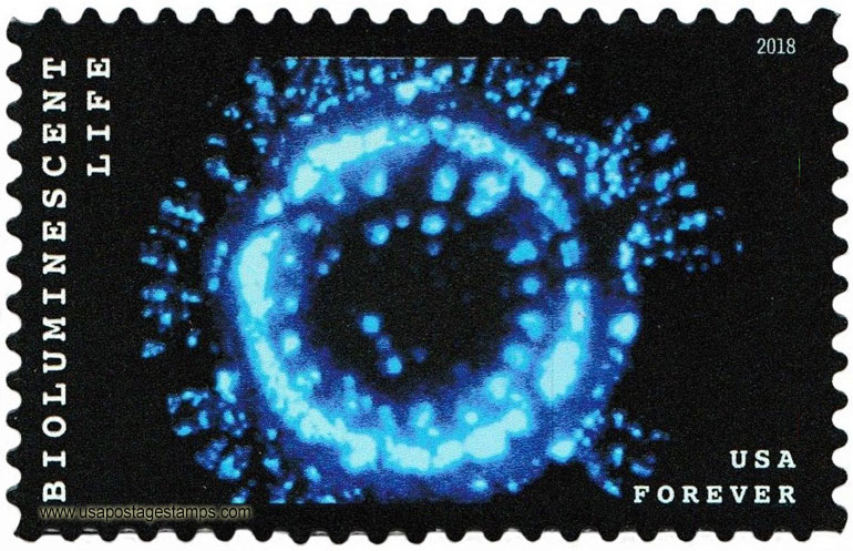 US 2018 Jellyfish : Bioluminescent Life 50c. Scott. 5265