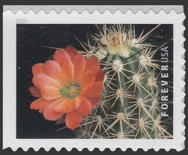 US 2019 Scarlet Hedgehog Cactus Flowers 55c. Scott. 5354