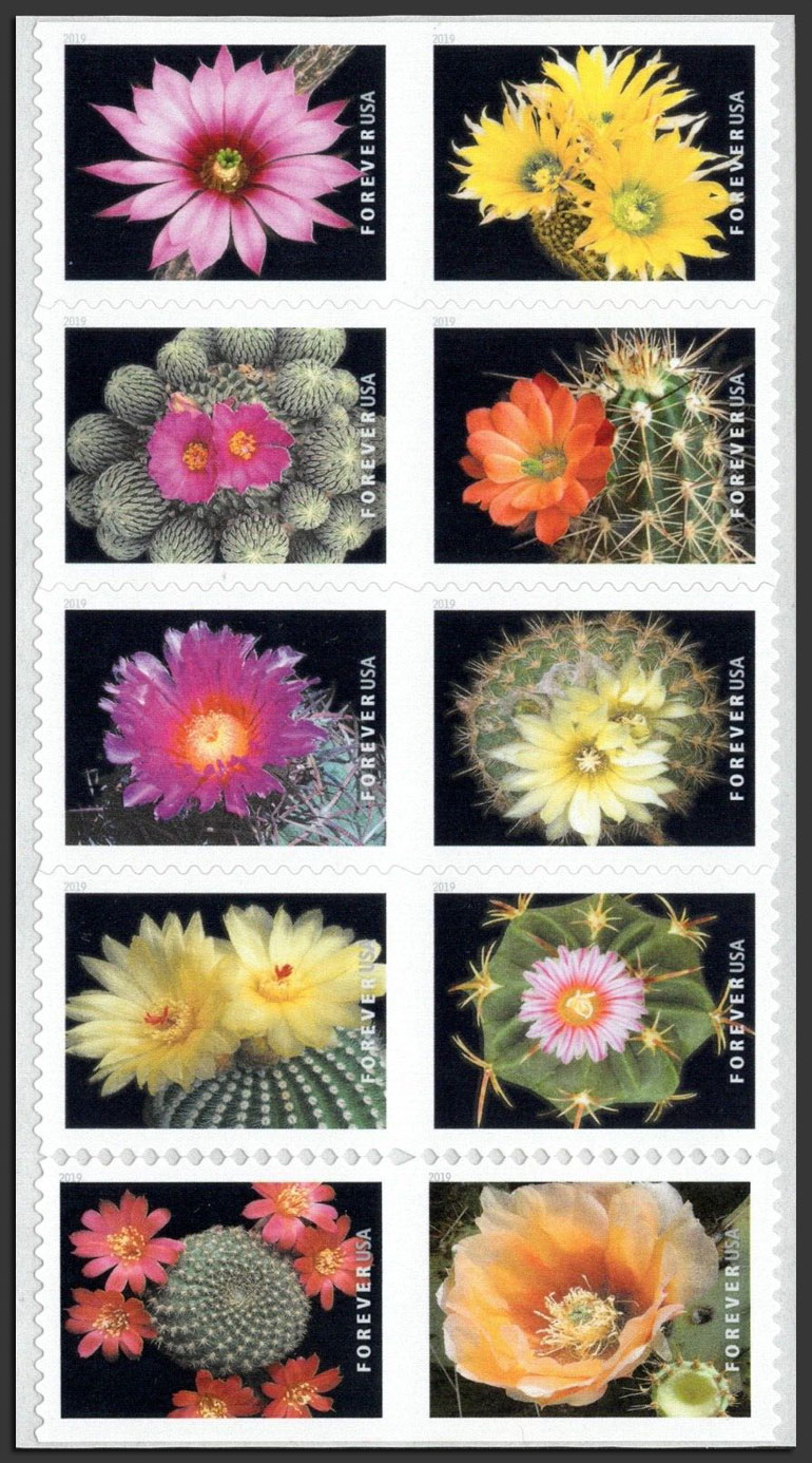 US 2019 Cactus Flowers ; Se-tenant 55c.x10 Scott. 5359a