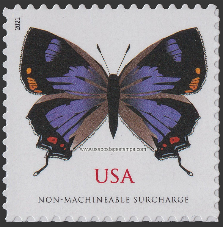 US 2021 Butterfly ; Colorado Hairstreak 75c. Scott. 5568