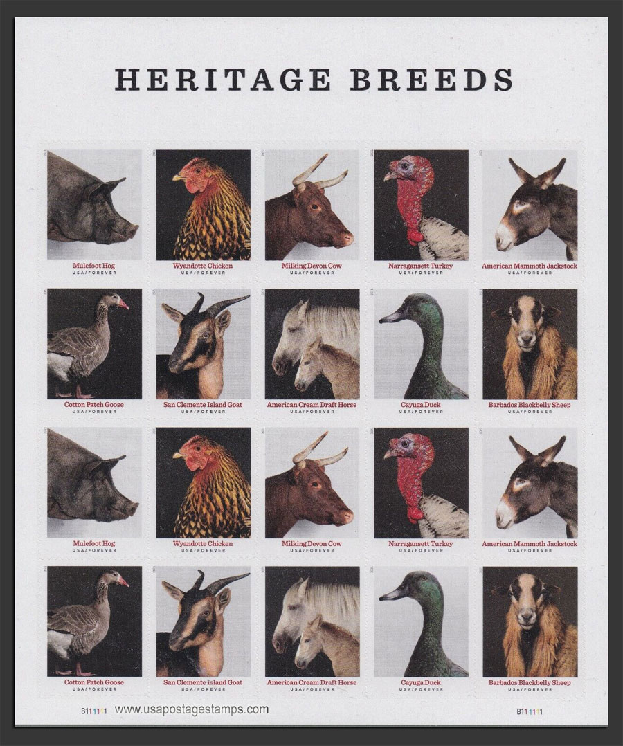 US 2021 Heritage Breeds ; Full Sheet 55c.x20 Scott. 5583-5592MS