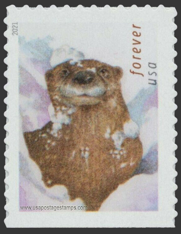 US 2021 Otter in Snow 58c. Scott. 5651