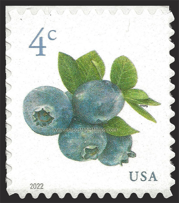 US 2022 Blueberry Fruits 4c. Scott. 5652