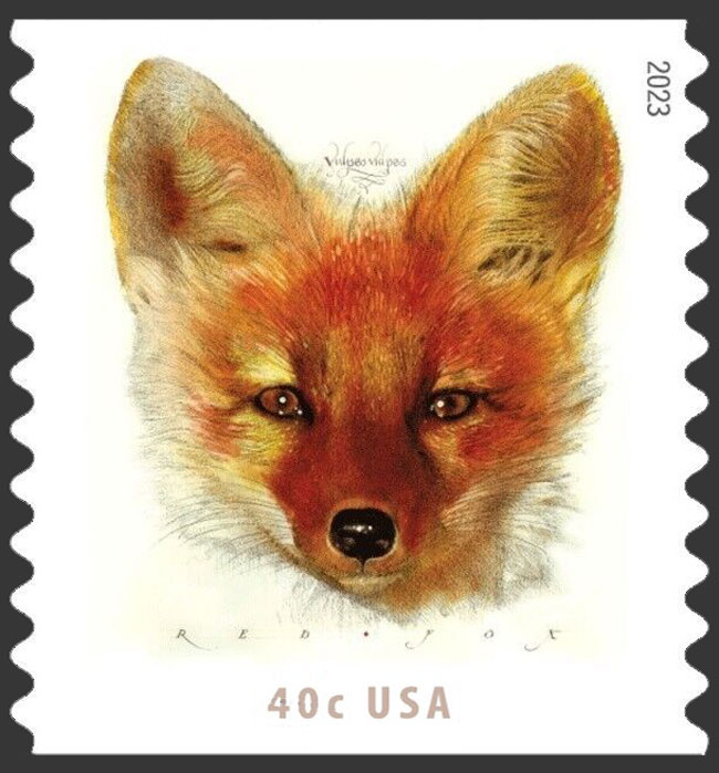 US 2023 Red Fox (Vulpes vulpes) Coil 40c. Scott 5742