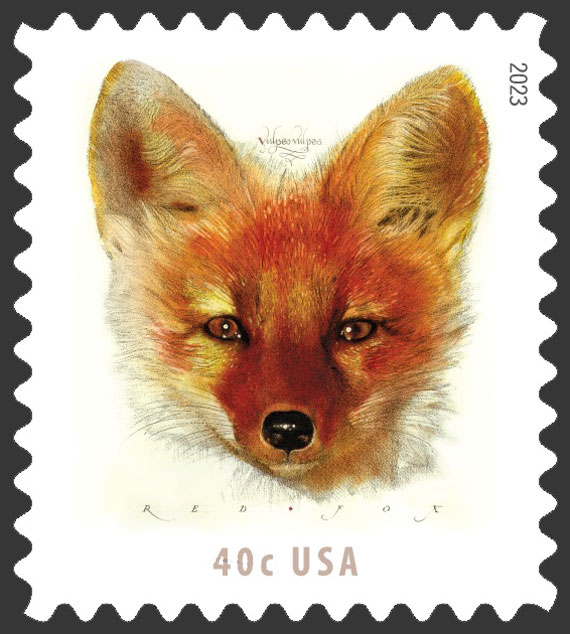 US 2023 Red Fox (Vulpes vulpes) 40c. Scott 5743
